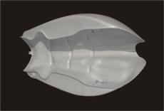 Réservoir style Z1 pour Zephyr