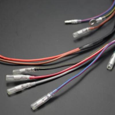 Cablage principal 750H2