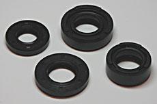 Set de joints spy du vilbrequin 500H1