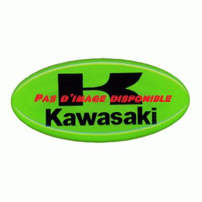 Garde-boue arrière intérieur